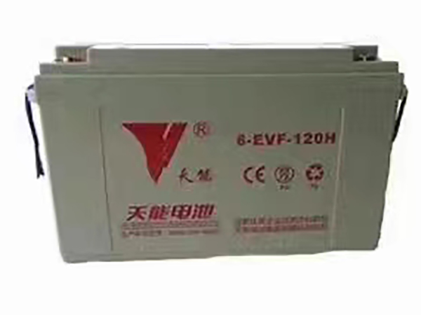 天能電池6-EVF-120H